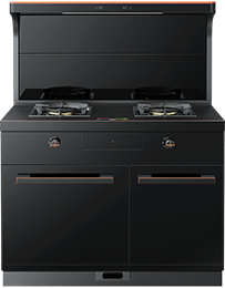 星辰X1雙子星蒸烤獨(dú)立(100S)