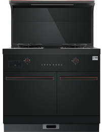 星辰X1雙子星蒸烤獨(dú)立(90)