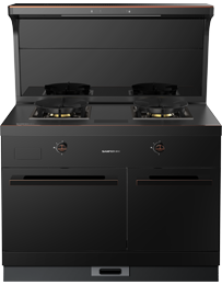 星辰X1雙子星蒸烤獨(dú)立(100)