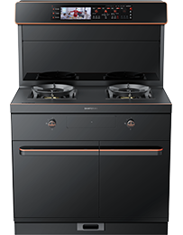 星辰X6蒸烤獨立